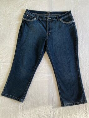 N.W.D Dark Blue Women’s Straight-Leg Jeans Plus Size